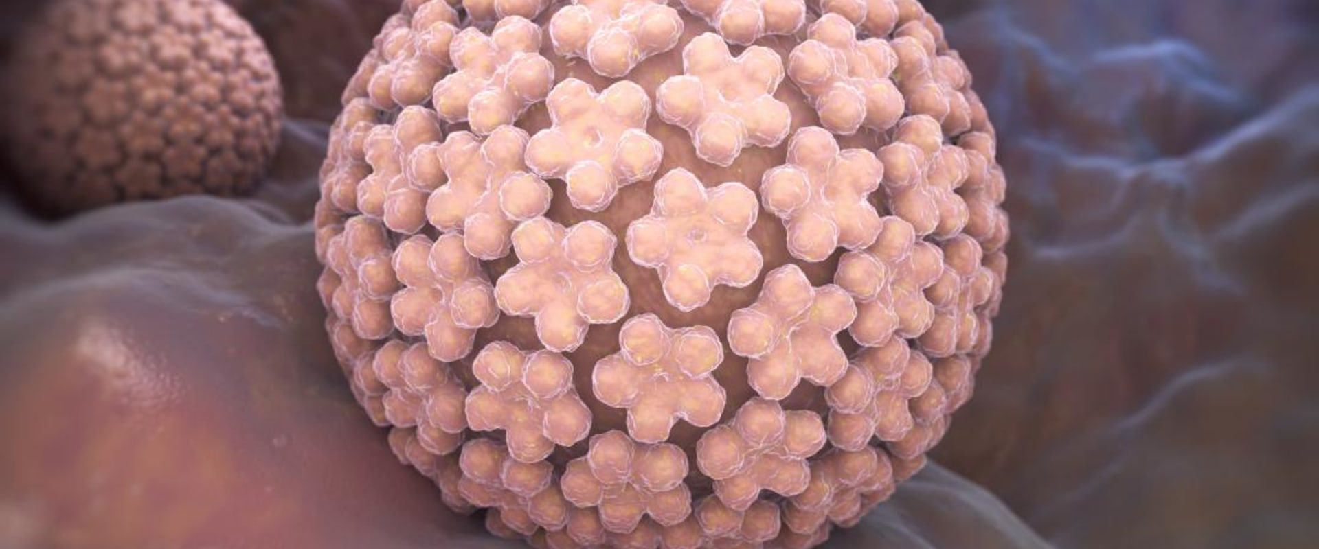 Can Genital Warts Disappear on Their Own? - An Expert's Perspective